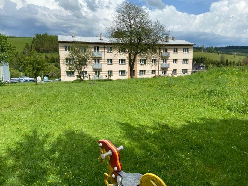 Apartman Orlicke Hory Orlické Záhoří Kültér fotó